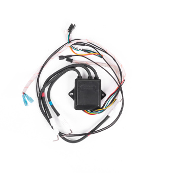 блок управления (10L) Евро 20 (запасная часть к водонагревателю Лемакс, LMX)