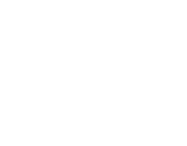 CMV Тип 20, L=500 мм